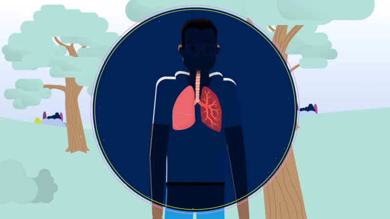 An Illustration Showing a Human Respiratory System