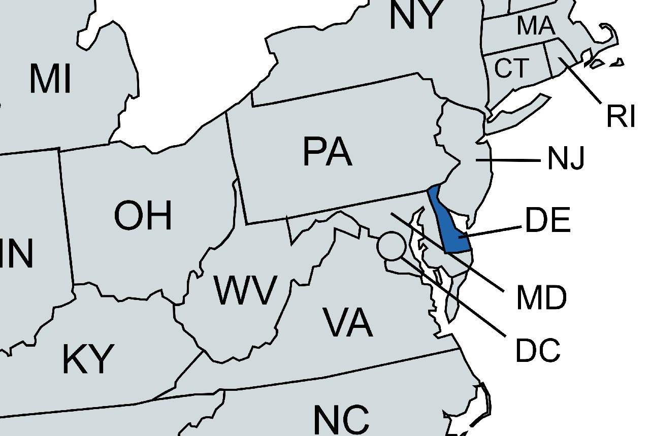 Delaware Is the Only US State That Starts with D
