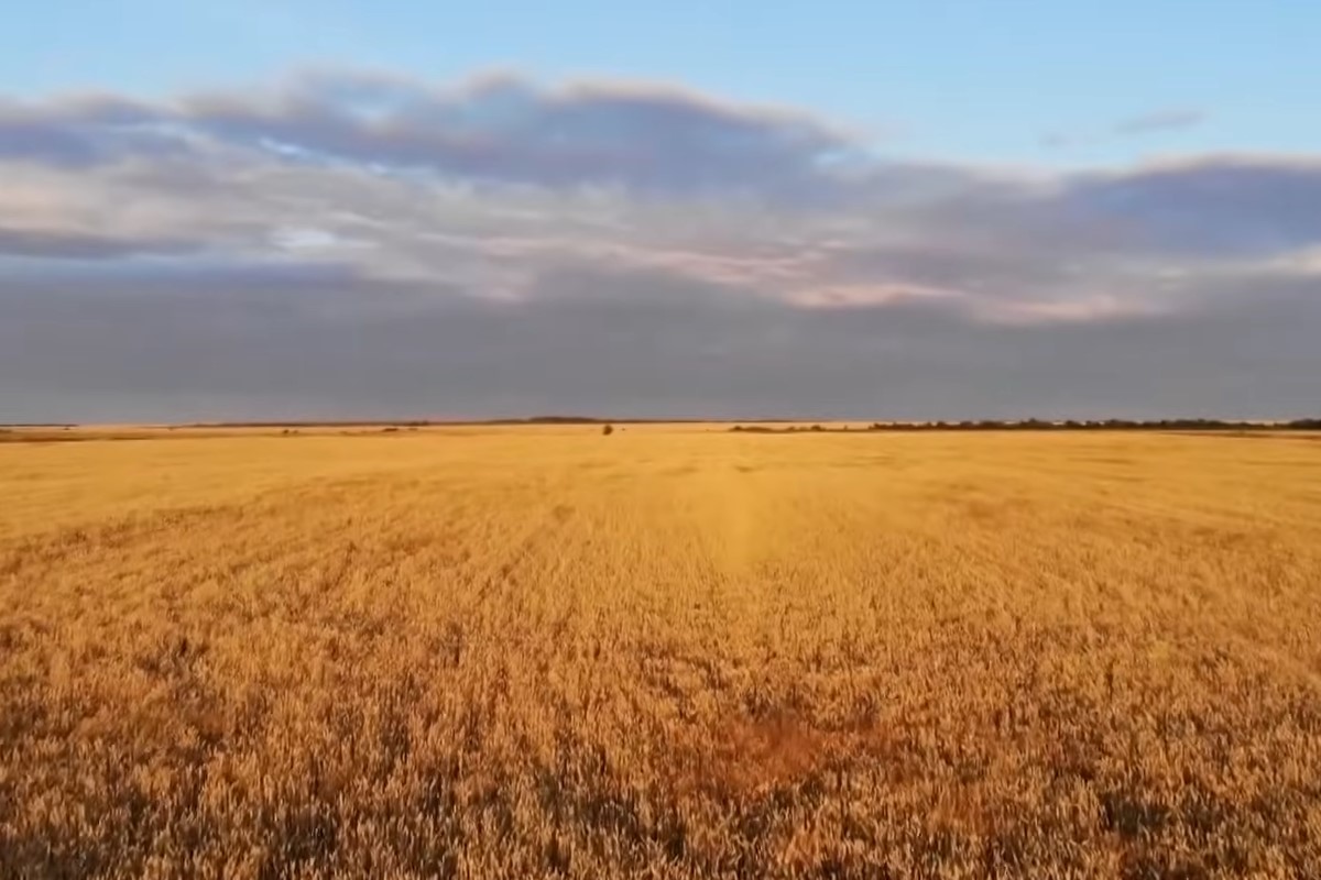 Kansas Farmlands