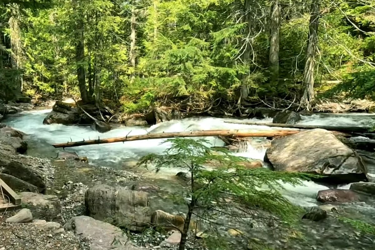 Nature in Montana
