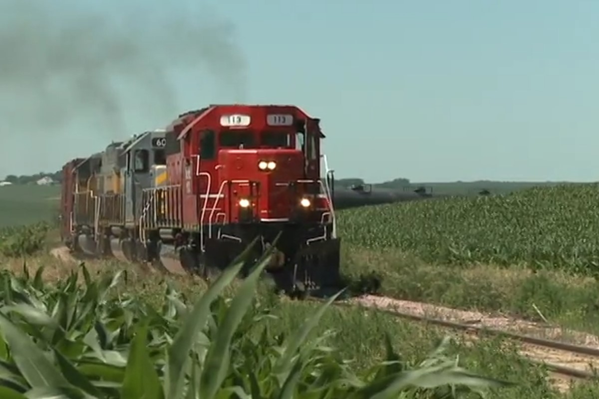 A train in Nebraska going though the corn field.