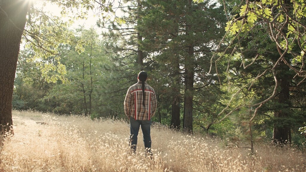 Man standing in a pine forest landscape representing the Serrano mountain homelands