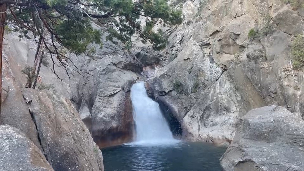 Roaring River Falls in Kings Canyon National Park, where a powerful waterfall drops through smooth granite walls into a clear, shaded pool below