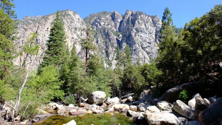 Visit To Kings Canyon National Park
