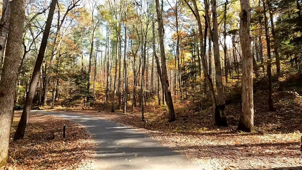 Cades Cove Loop Road
