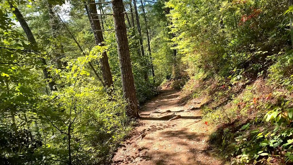 Abrams Falls trail